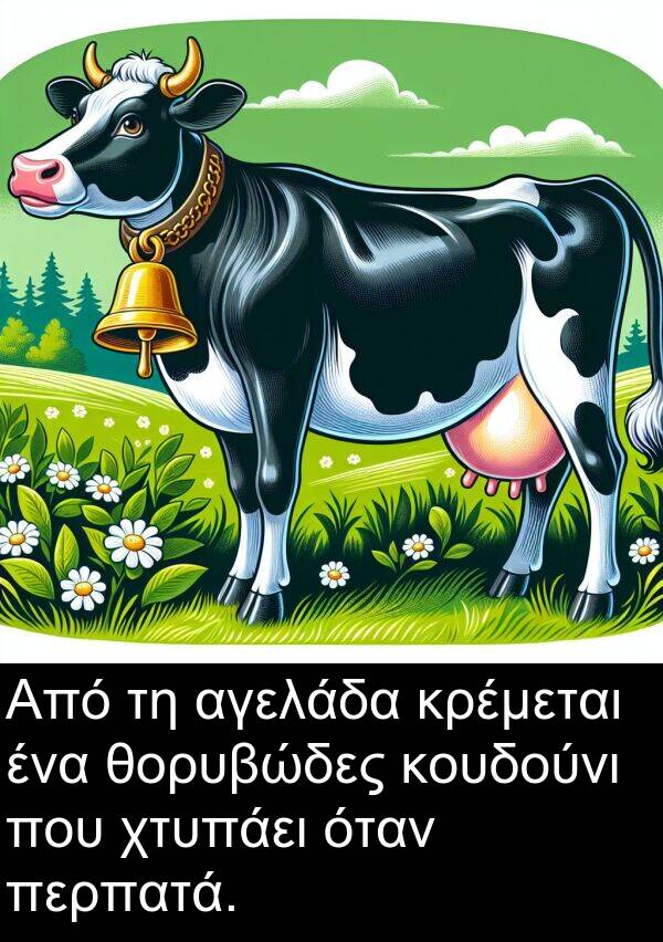 αγελάδα: Από τη αγελάδα κρέμεται ένα θορυβώδες κουδούνι που χτυπάει όταν περπατά.