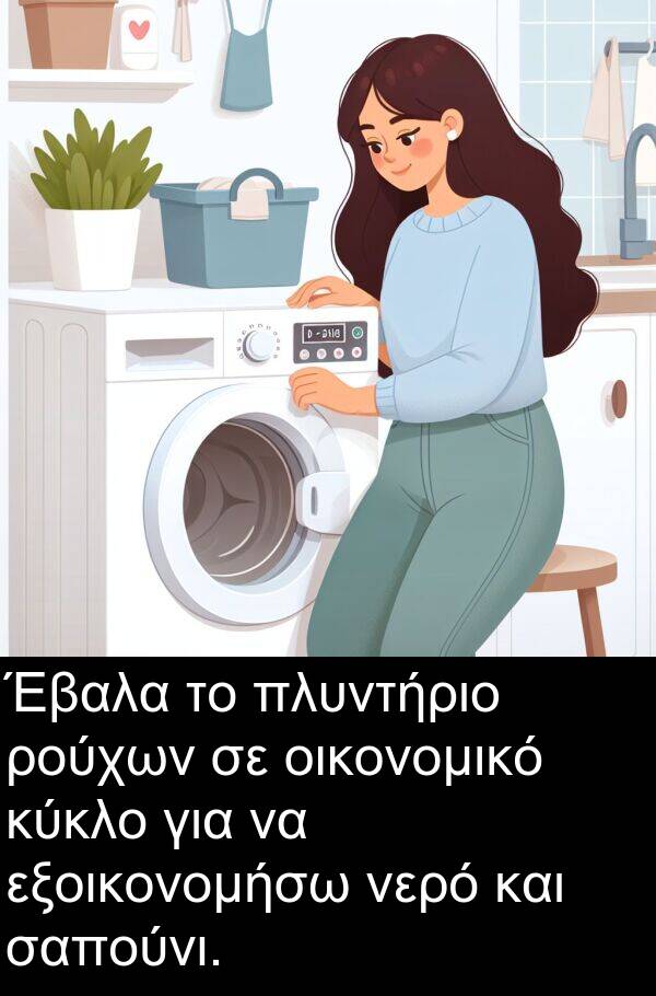 ρούχων: Έβαλα το πλυντήριο ρούχων σε οικονομικό κύκλο για να εξοικονομήσω νερό και σαπούνι.