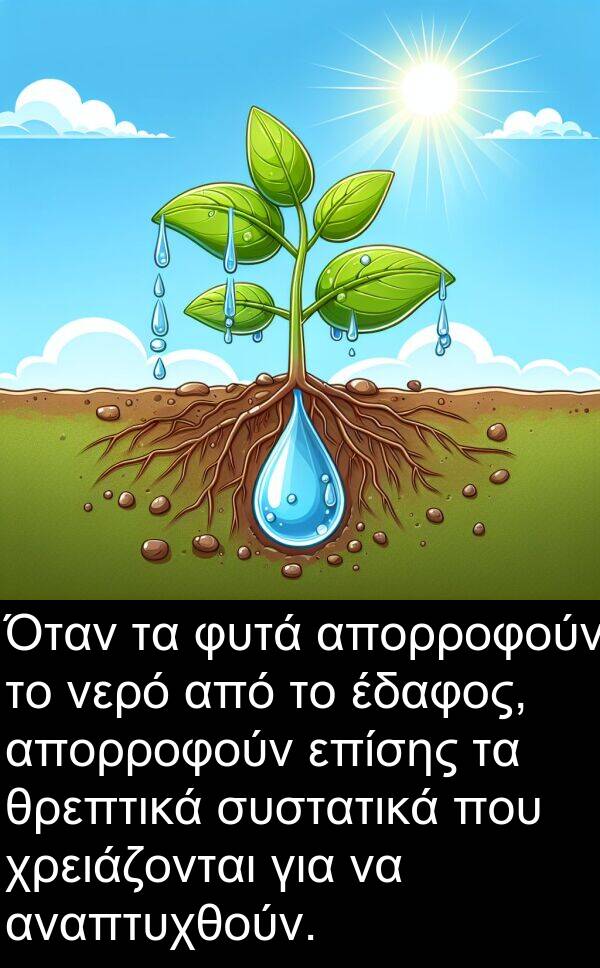 αναπτυχθούν: Όταν τα φυτά απορροφούν το νερό από το έδαφος, απορροφούν επίσης τα θρεπτικά συστατικά που χρειάζονται για να αναπτυχθούν.