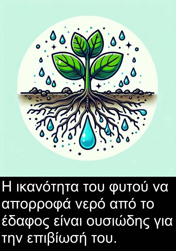 επιβίωσή: Η ικανότητα του φυτού να απορροφά νερό από το έδαφος είναι ουσιώδης για την επιβίωσή του.