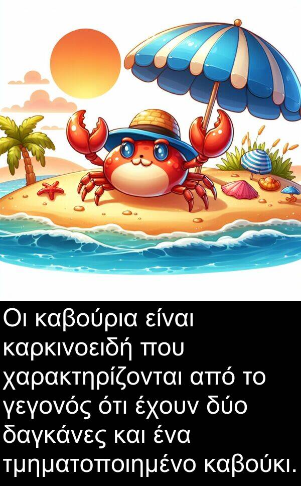 καβούρια: Οι καβούρια είναι καρκινοειδή που χαρακτηρίζονται από το γεγονός ότι έχουν δύο δαγκάνες και ένα τμηματοποιημένο καβούκι.