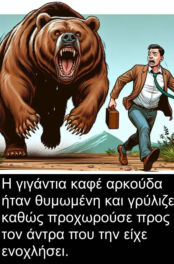 ενοχλήσει: Η γιγάντια καφέ αρκούδα ήταν θυμωμένη και γρύλιζε καθώς προχωρούσε προς τον άντρα που την είχε ενοχλήσει.