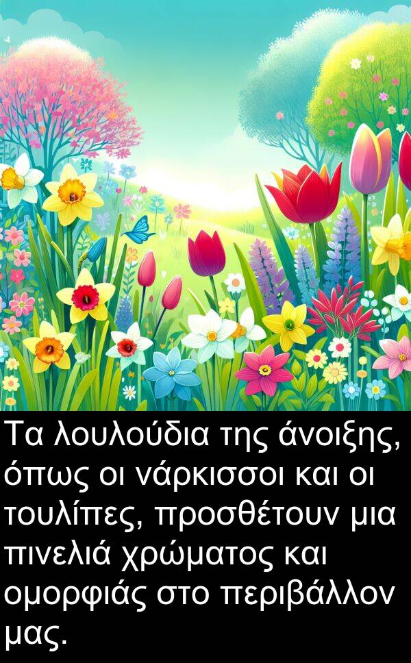 νάρκισσοι: Τα λουλούδια της άνοιξης, όπως οι νάρκισσοι και οι τουλίπες, προσθέτουν μια πινελιά χρώματος και ομορφιάς στο περιβάλλον μας.
