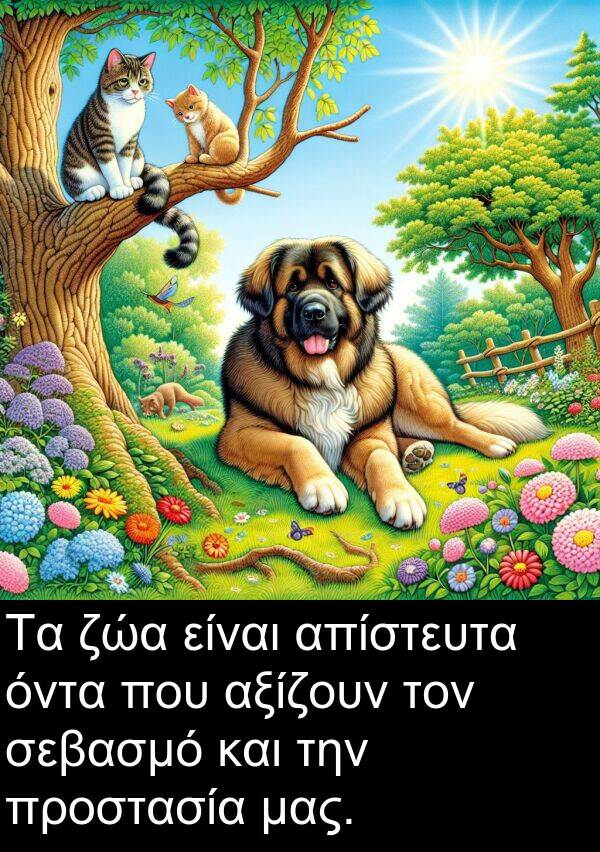 ζώα: Τα ζώα είναι απίστευτα όντα που αξίζουν τον σεβασμό και την προστασία μας.