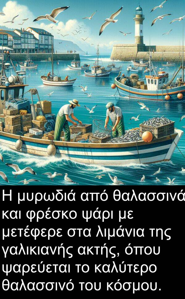θαλασσινά: Η μυρωδιά από θαλασσινά και φρέσκο ψάρι με μετέφερε στα λιμάνια της γαλικιανής ακτής, όπου ψαρεύεται το καλύτερο θαλασσινό του κόσμου.