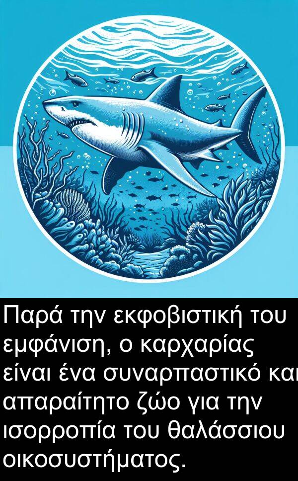 θαλάσσιου: Παρά την εκφοβιστική του εμφάνιση, ο καρχαρίας είναι ένα συναρπαστικό και απαραίτητο ζώο για την ισορροπία του θαλάσσιου οικοσυστήματος.