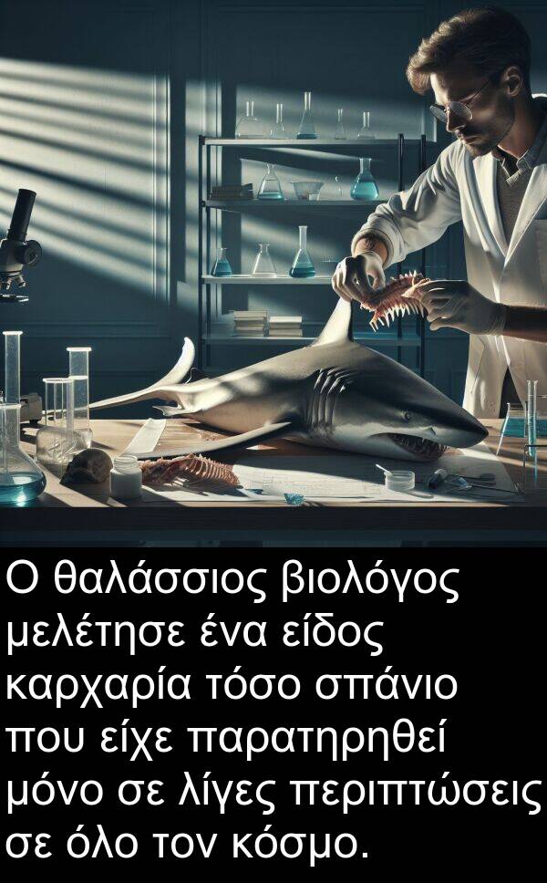 θαλάσσιος: Ο θαλάσσιος βιολόγος μελέτησε ένα είδος καρχαρία τόσο σπάνιο που είχε παρατηρηθεί μόνο σε λίγες περιπτώσεις σε όλο τον κόσμο.
