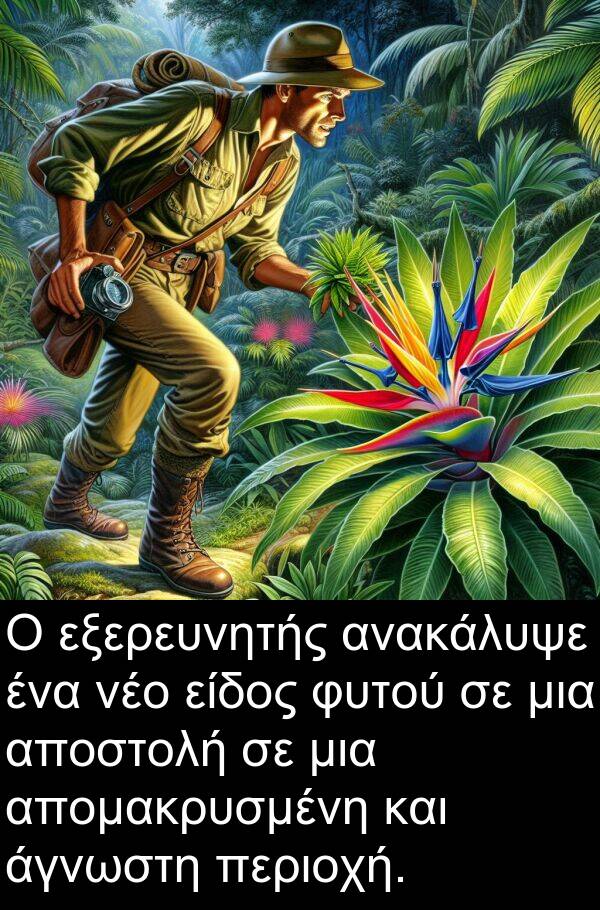 νέο: Ο εξερευνητής ανακάλυψε ένα νέο είδος φυτού σε μια αποστολή σε μια απομακρυσμένη και άγνωστη περιοχή.