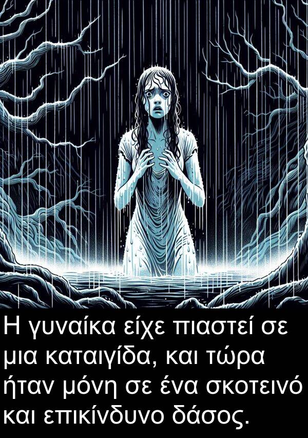 επικίνδυνο: Η γυναίκα είχε πιαστεί σε μια καταιγίδα, και τώρα ήταν μόνη σε ένα σκοτεινό και επικίνδυνο δάσος.
