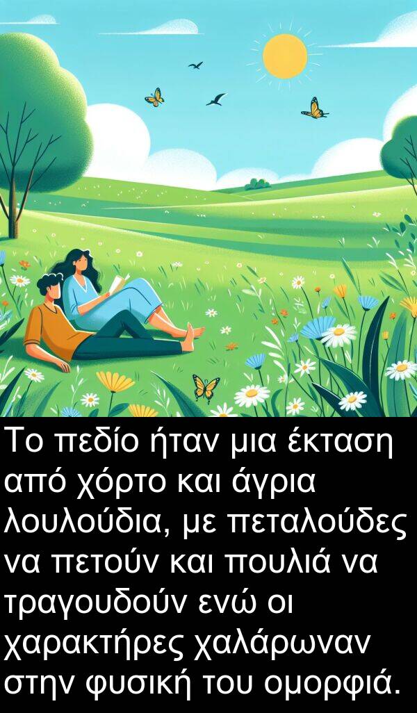 χαρακτήρες: Το πεδίο ήταν μια έκταση από χόρτο και άγρια λουλούδια, με πεταλούδες να πετούν και πουλιά να τραγουδούν ενώ οι χαρακτήρες χαλάρωναν στην φυσική του ομορφιά.