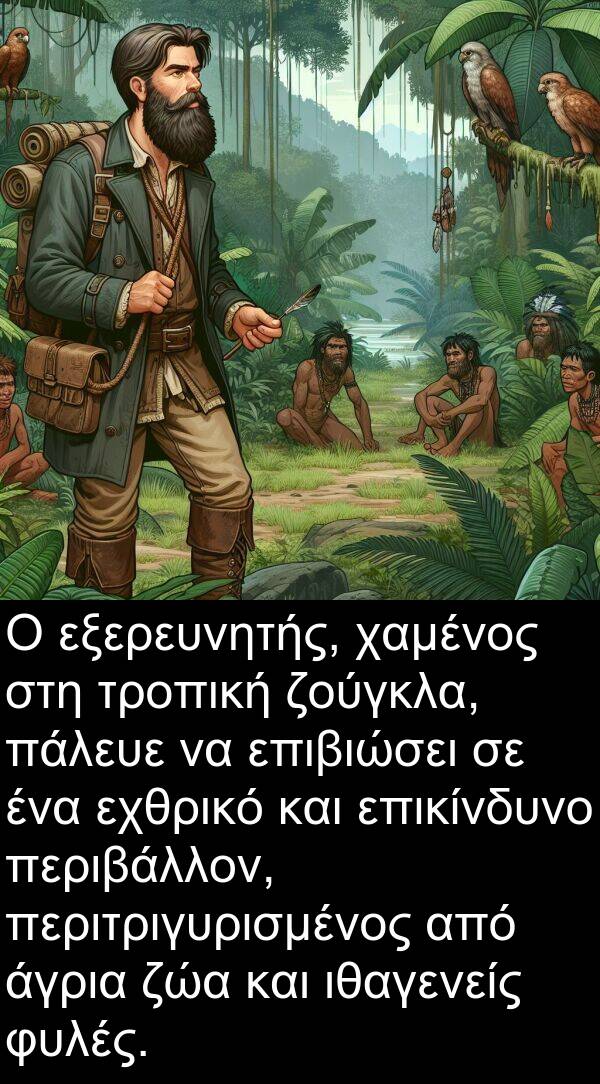 χαμένος: Ο εξερευνητής, χαμένος στη τροπική ζούγκλα, πάλευε να επιβιώσει σε ένα εχθρικό και επικίνδυνο περιβάλλον, περιτριγυρισμένος από άγρια ζώα και ιθαγενείς φυλές.
