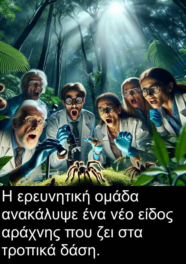 ζει: Η ερευνητική ομάδα ανακάλυψε ένα νέο είδος αράχνης που ζει στα τροπικά δάση.