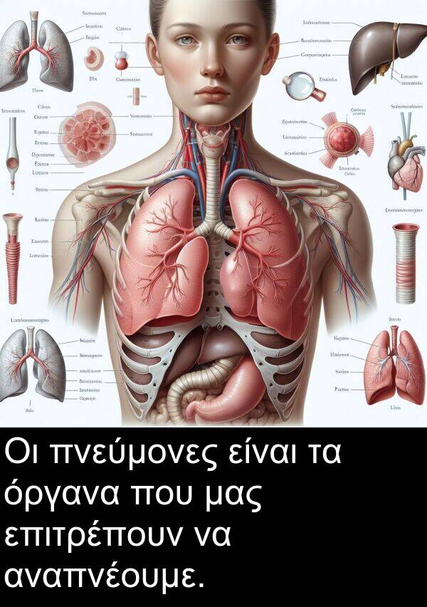 επιτρέπουν: Οι πνεύμονες είναι τα όργανα που μας επιτρέπουν να αναπνέουμε.
