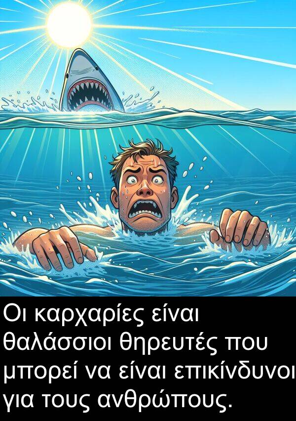 θαλάσσιοι: Οι καρχαρίες είναι θαλάσσιοι θηρευτές που μπορεί να είναι επικίνδυνοι για τους ανθρώπους.