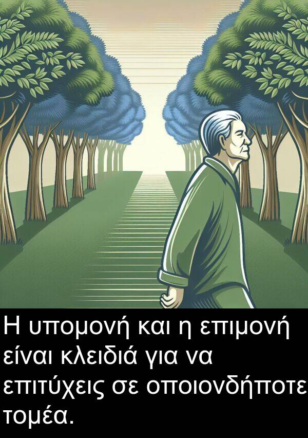 επιτύχεις: Η υπομονή και η επιμονή είναι κλειδιά για να επιτύχεις σε οποιονδήποτε τομέα.