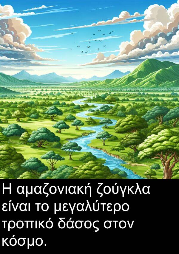 δάσος: Η αμαζονιακή ζούγκλα είναι το μεγαλύτερο τροπικό δάσος στον κόσμο.