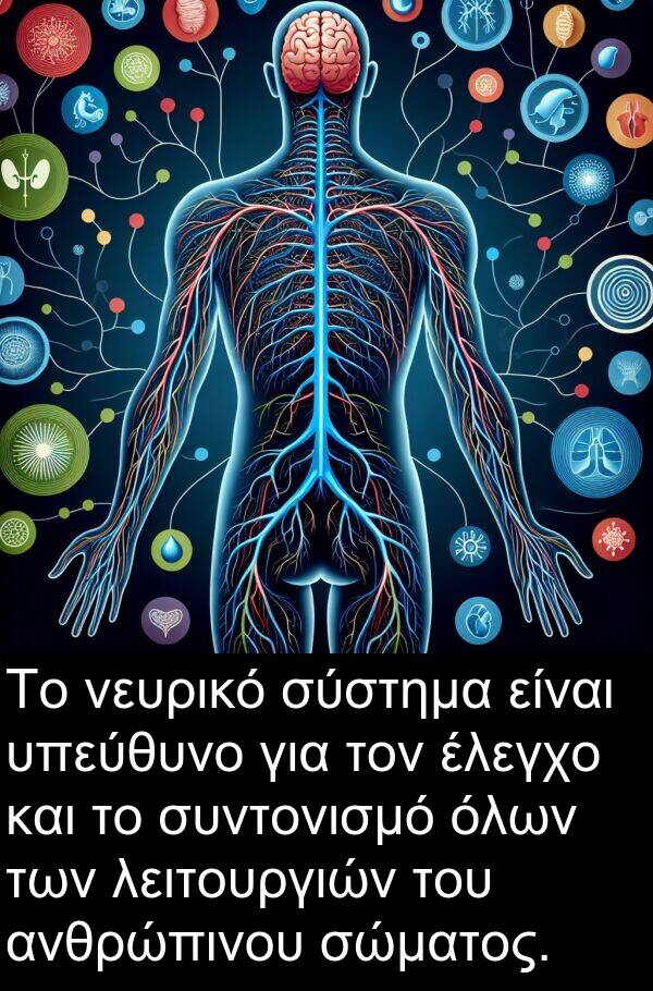 νευρικό: Το νευρικό σύστημα είναι υπεύθυνο για τον έλεγχο και το συντονισμό όλων των λειτουργιών του ανθρώπινου σώματος.