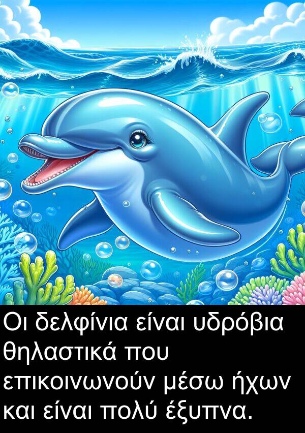 επικοινωνούν: Οι δελφίνια είναι υδρόβια θηλαστικά που επικοινωνούν μέσω ήχων και είναι πολύ έξυπνα.