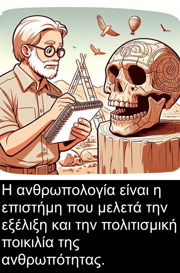 εξέλιξη: Η ανθρωπολογία είναι η επιστήμη που μελετά την εξέλιξη και την πολιτισμική ποικιλία της ανθρωπότητας.