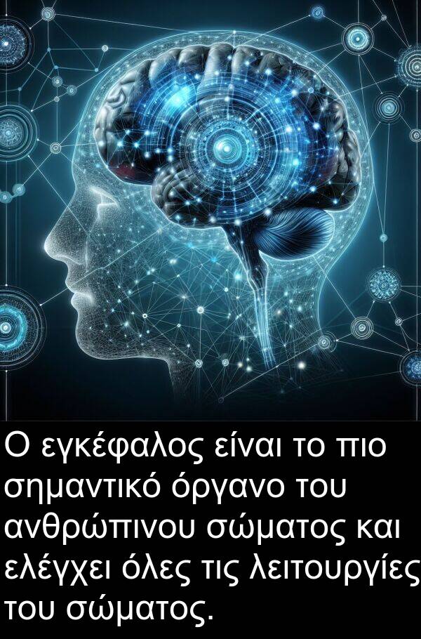 εγκέφαλος: Ο εγκέφαλος είναι το πιο σημαντικό όργανο του ανθρώπινου σώματος και ελέγχει όλες τις λειτουργίες του σώματος.