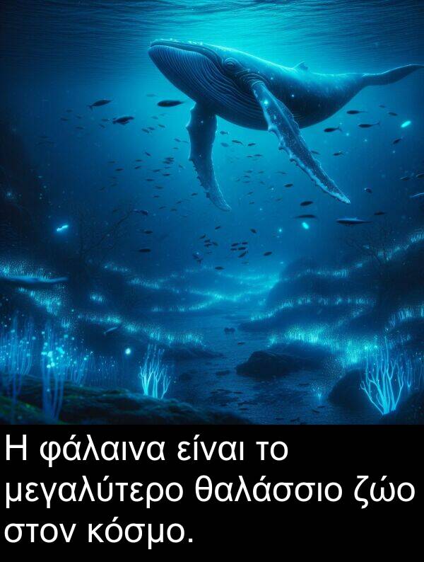 θαλάσσιο: Η φάλαινα είναι το μεγαλύτερο θαλάσσιο ζώο στον κόσμο.