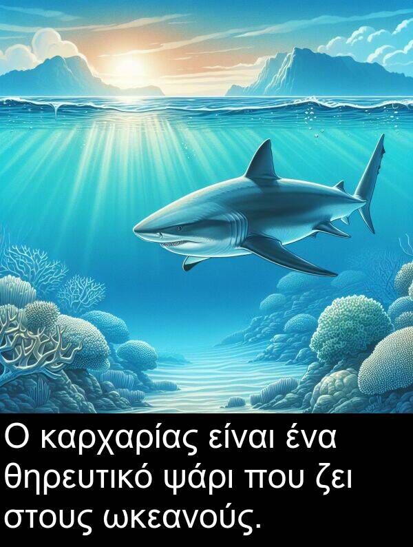 ψάρι: Ο καρχαρίας είναι ένα θηρευτικό ψάρι που ζει στους ωκεανούς.