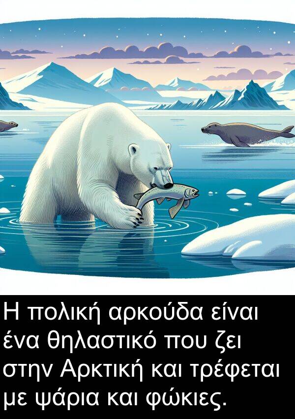 ζει: Η πολική αρκούδα είναι ένα θηλαστικό που ζει στην Αρκτική και τρέφεται με ψάρια και φώκιες.