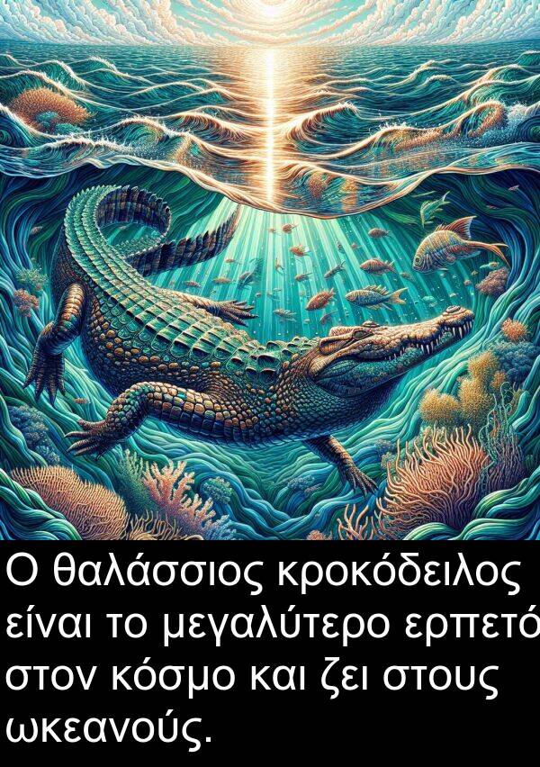 θαλάσσιος: Ο θαλάσσιος κροκόδειλος είναι το μεγαλύτερο ερπετό στον κόσμο και ζει στους ωκεανούς.