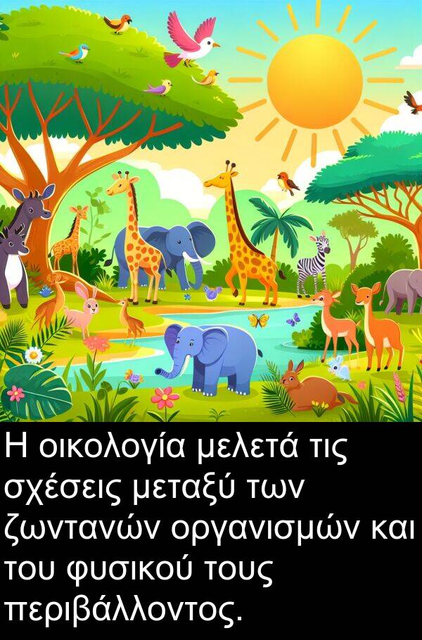 οικολογία: Η οικολογία μελετά τις σχέσεις μεταξύ των ζωντανών οργανισμών και του φυσικού τους περιβάλλοντος.