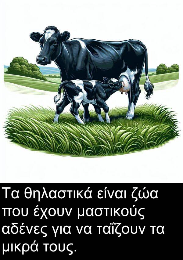 ζώα: Τα θηλαστικά είναι ζώα που έχουν μαστικούς αδένες για να ταΐζουν τα μικρά τους.