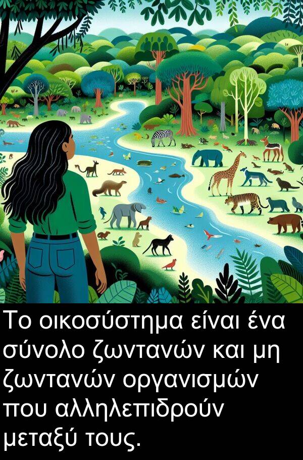 οικοσύστημα: Το οικοσύστημα είναι ένα σύνολο ζωντανών και μη ζωντανών οργανισμών που αλληλεπιδρούν μεταξύ τους.