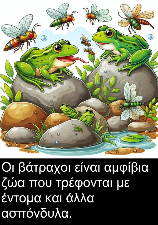 ζώα: Οι βάτραχοι είναι αμφίβια ζώα που τρέφονται με έντομα και άλλα ασπόνδυλα.