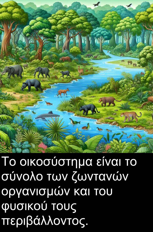 οικοσύστημα: Το οικοσύστημα είναι το σύνολο των ζωντανών οργανισμών και του φυσικού τους περιβάλλοντος.