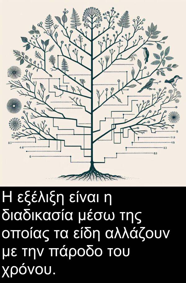 εξέλιξη: Η εξέλιξη είναι η διαδικασία μέσω της οποίας τα είδη αλλάζουν με την πάροδο του χρόνου.