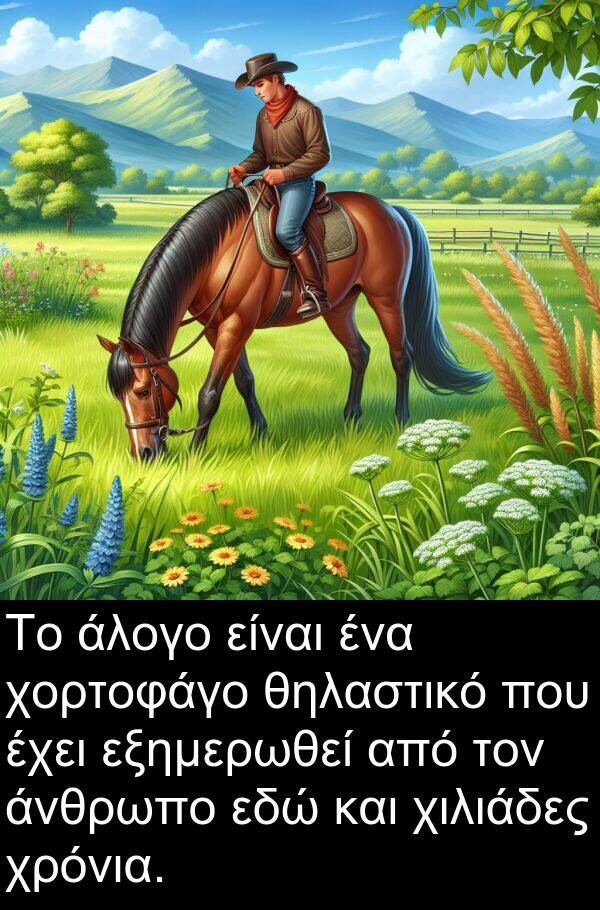 εδώ: Το άλογο είναι ένα χορτοφάγο θηλαστικό που έχει εξημερωθεί από τον άνθρωπο εδώ και χιλιάδες χρόνια.