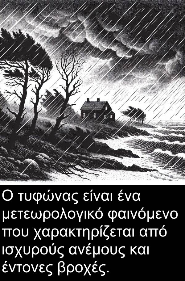 φαινόμενο: Ο τυφώνας είναι ένα μετεωρολογικό φαινόμενο που χαρακτηρίζεται από ισχυρούς ανέμους και έντονες βροχές.
