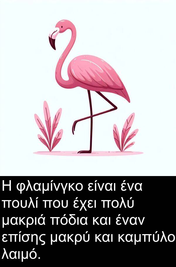 μακριά: Η φλαμίνγκο είναι ένα πουλί που έχει πολύ μακριά πόδια και έναν επίσης μακρύ και καμπύλο λαιμό.