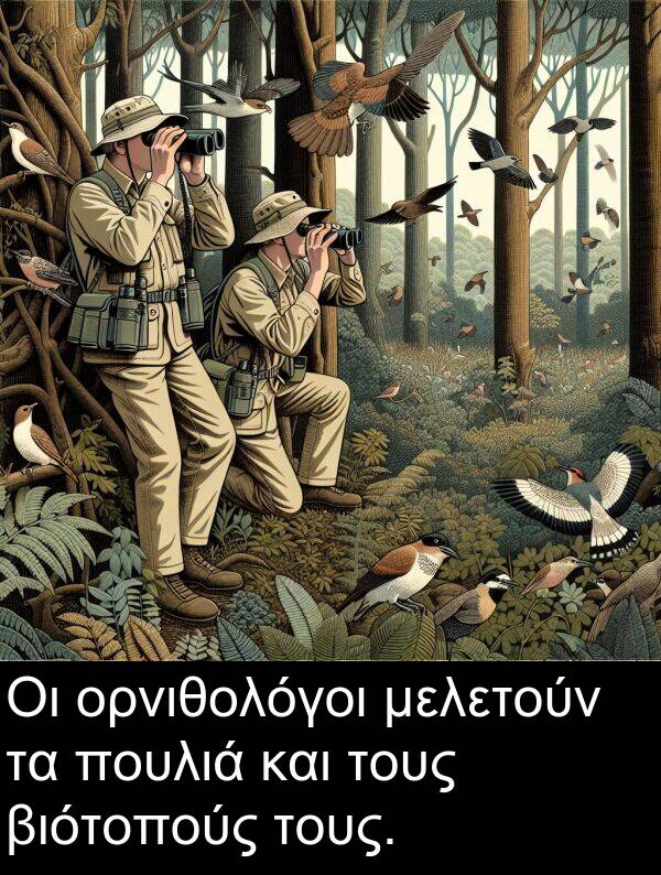πουλιά: Οι ορνιθολόγοι μελετούν τα πουλιά και τους βιότοπούς τους.