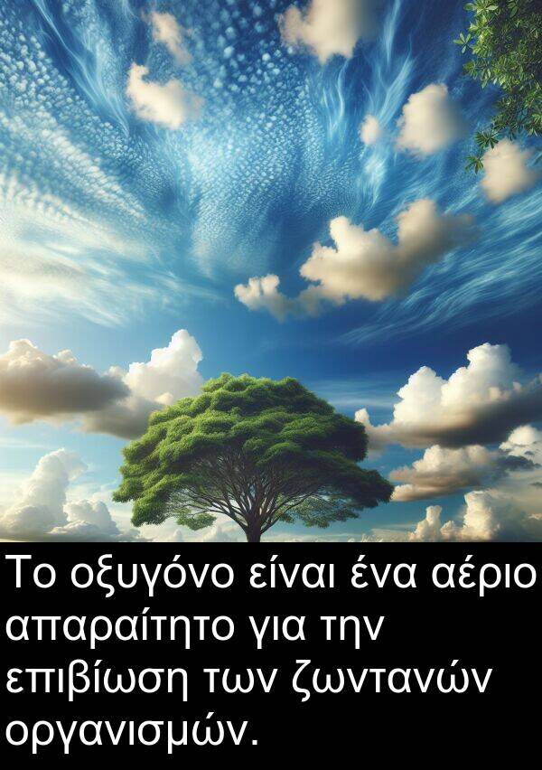 επιβίωση: Το οξυγόνο είναι ένα αέριο απαραίτητο για την επιβίωση των ζωντανών οργανισμών.