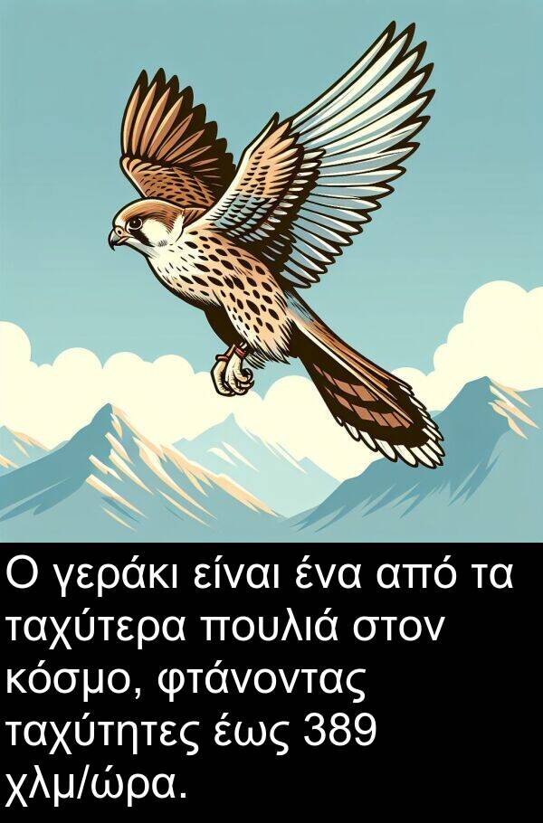 ταχύτερα: Ο γεράκι είναι ένα από τα ταχύτερα πουλιά στον κόσμο, φτάνοντας ταχύτητες έως 389 χλμ/ώρα.