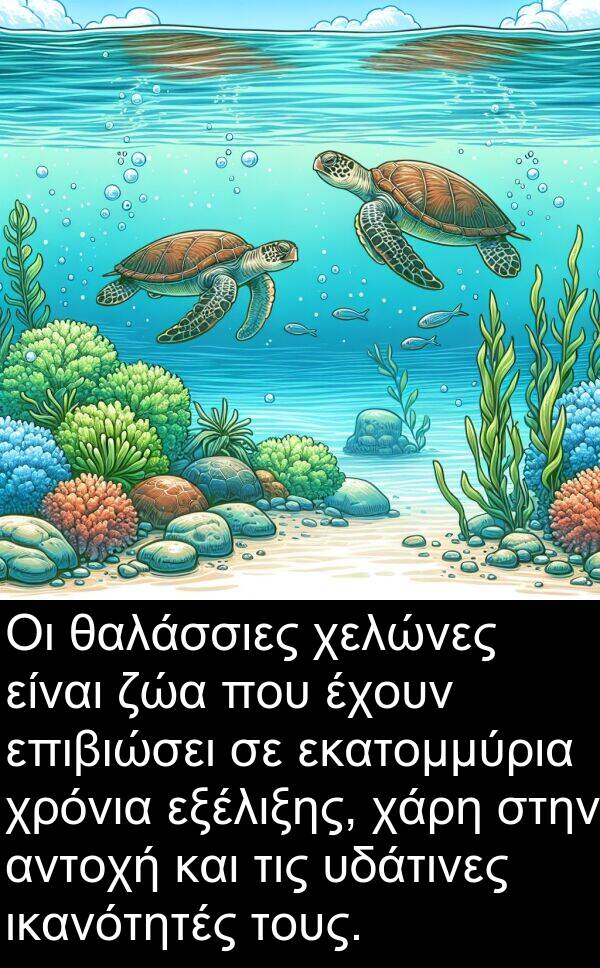 θαλάσσιες: Οι θαλάσσιες χελώνες είναι ζώα που έχουν επιβιώσει σε εκατομμύρια χρόνια εξέλιξης, χάρη στην αντοχή και τις υδάτινες ικανότητές τους.