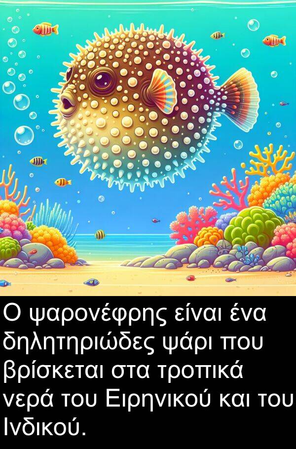 ψάρι: Ο ψαρονέφρης είναι ένα δηλητηριώδες ψάρι που βρίσκεται στα τροπικά νερά του Ειρηνικού και του Ινδικού.