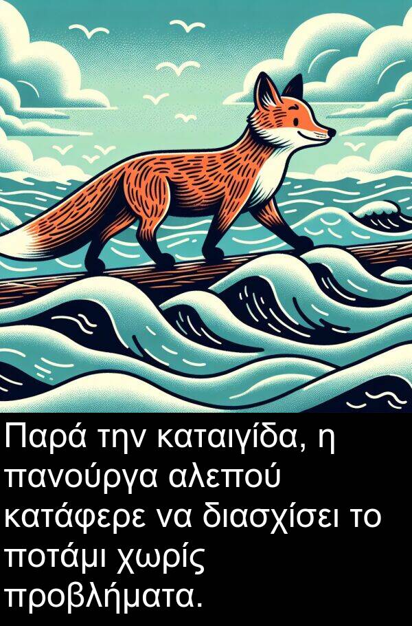 πανούργα: Παρά την καταιγίδα, η πανούργα αλεπού κατάφερε να διασχίσει το ποτάμι χωρίς προβλήματα.
