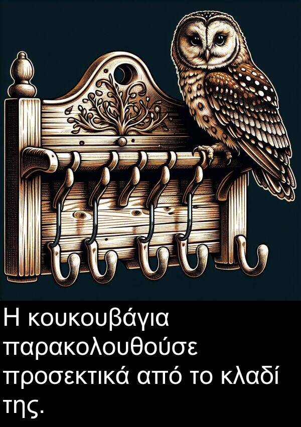 κουκουβάγια: Η κουκουβάγια παρακολουθούσε προσεκτικά από το κλαδί της.