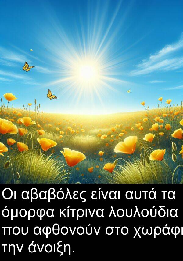 αβαβόλες: Οι αβαβόλες είναι αυτά τα όμορφα κίτρινα λουλούδια που αφθονούν στο χωράφι την άνοιξη.