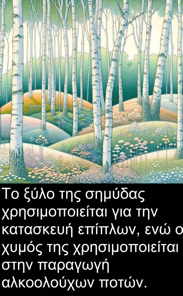 παραγωγή: Το ξύλο της σημύδας χρησιμοποιείται για την κατασκευή επίπλων, ενώ ο χυμός της χρησιμοποιείται στην παραγωγή αλκοολούχων ποτών.