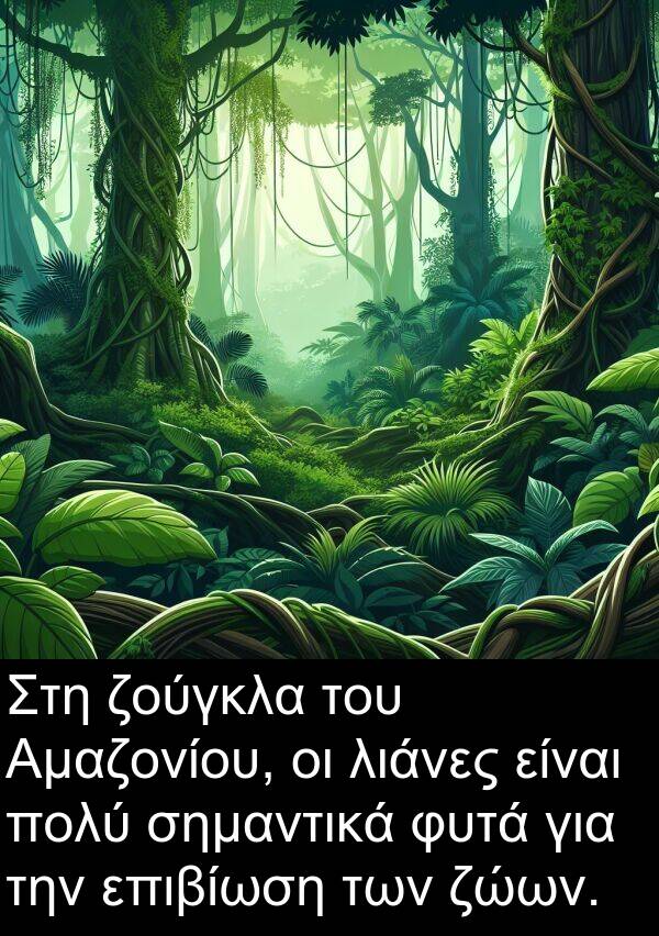 επιβίωση: Στη ζούγκλα του Αμαζονίου, οι λιάνες είναι πολύ σημαντικά φυτά για την επιβίωση των ζώων.