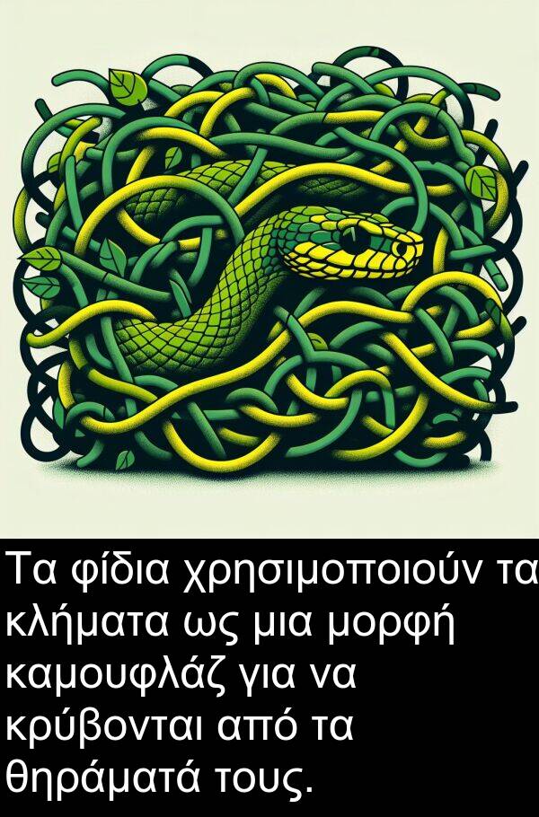 φίδια: Τα φίδια χρησιμοποιούν τα κλήματα ως μια μορφή καμουφλάζ για να κρύβονται από τα θηράματά τους.