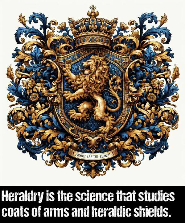 science: Heraldry is the science that studies coats of arms and heraldic shields.