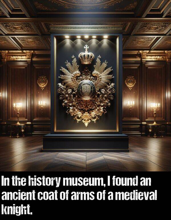 knight: In the history museum, I found an ancient coat of arms of a medieval knight.